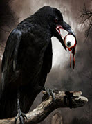 生物廢墟 1.3正式版 