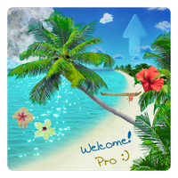 Beach Live Wallpaper Pro(漂亮海灘) v2.5.0 安卓版 