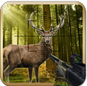 叢林獵鹿 1.3 安卓版 