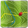BackCountry Navigator TOPO GPS v5.4.9 安卓版 