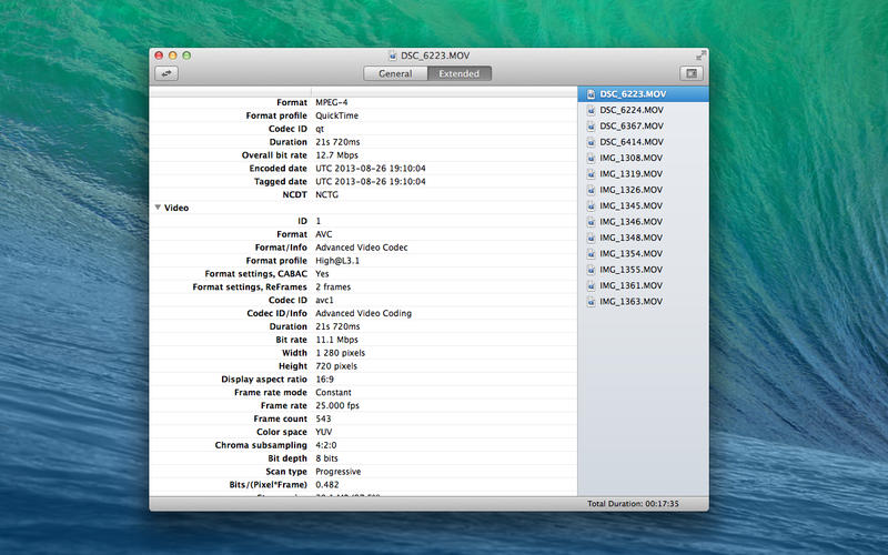 Media File Inspector
