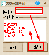 300英雄戰(zhàn)績查詢器