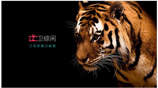 衛(wèi)綜閑下載