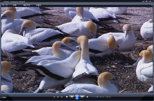 海海軟件HUPlayer播放器下載_HUPlayer
