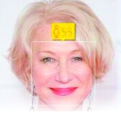 顏齡 v1.02 安卓版 