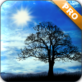 藍(lán)天動態(tài)壁紙 v1.1.3 安卓版 