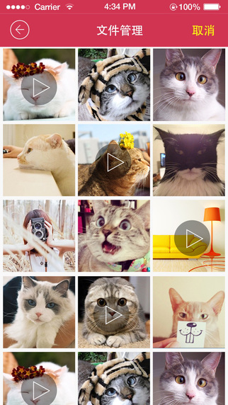 小蟻智能攝像機(jī)iOS版