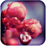 逃脫游戲久遠(yuǎn)的約定 v1.2 最新手機(jī)版 