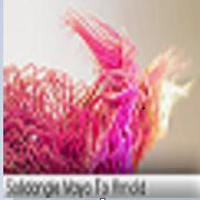 Solid Angle Maya To Arnold破解版 1.2.4.3 綠色版 