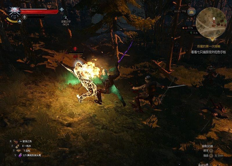 巫師3公主鏟子MOD