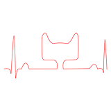 喵會 v1.0.2 安卓版 