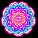 送花使者 3.0 安卓版 