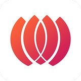 云櫻app v3.0 安卓版 