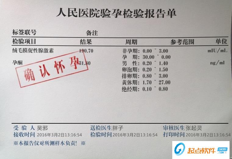 驗(yàn)孕報(bào)告惡搞器