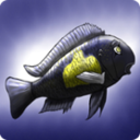 移動(dòng)魚庫app下載 v1.86 安卓版 
