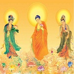 佛弟子視頻播放器 v2017.05.01 綠色免費(fèi)版 