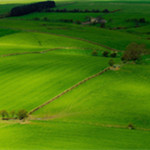 護(hù)眼壁紙桌面高清版 免費版 