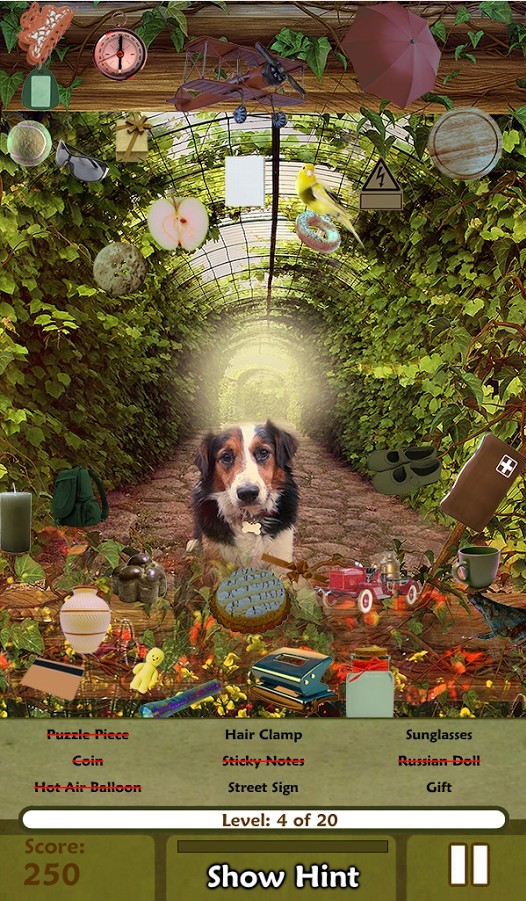 隱藏的物體鄉(xiāng)村生活下載 v1.0.11 安卓版圖2