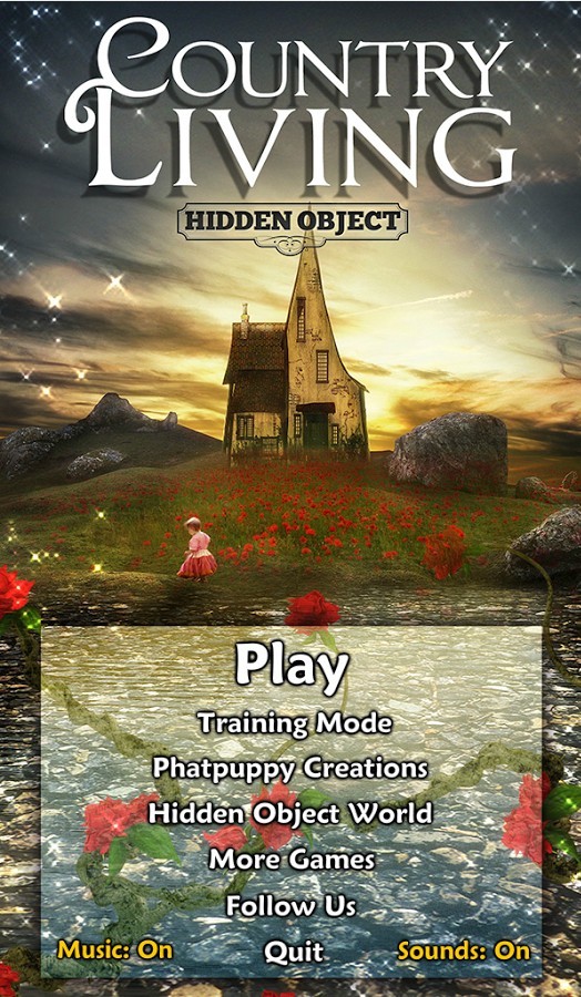 隱藏的物體鄉(xiāng)村生活下載 v1.0.11 安卓版圖3