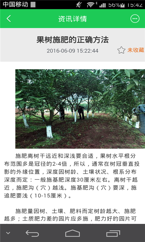 掌上植物葉面肥