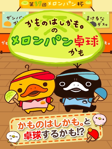 呆頭鴨嘴獸的蜜瓜包桌球