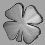 defy BL(bootloader)等級(jí)查看工具 