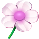 NuKit for mac V1.1.5 官方版 