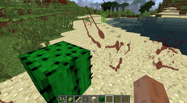 我的世界擴(kuò)展視覺(jué)效果mod