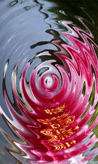 藝術(shù)照片app