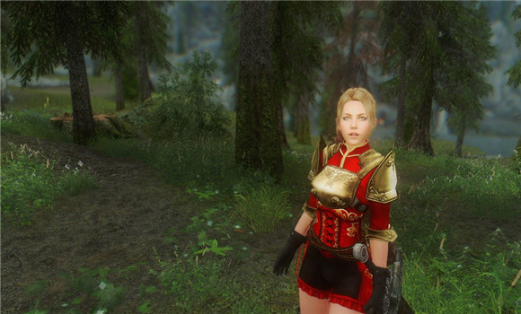 上古卷軸5蕾歐娜隨從MOD