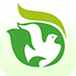 心詢網(wǎng)app v1.0.8 安卓版 