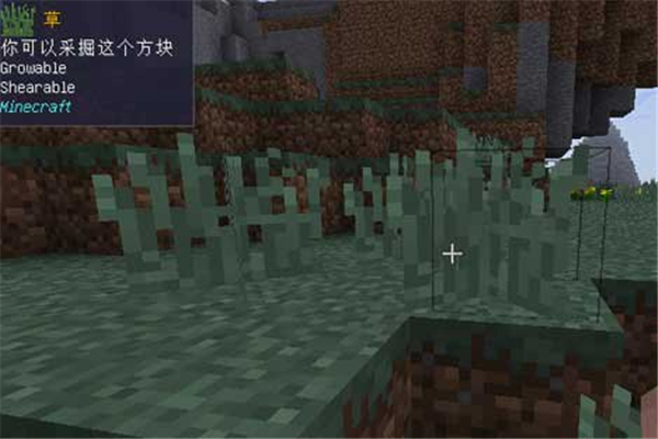 我的世界智能指針MOD