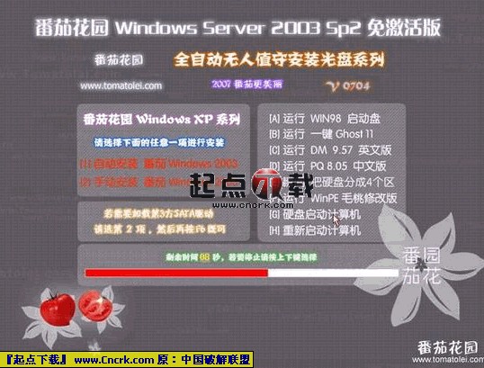 番茄花園Windows Server 2003 SP2