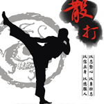 散打教學(xué)視頻 v1.3 安卓版 
