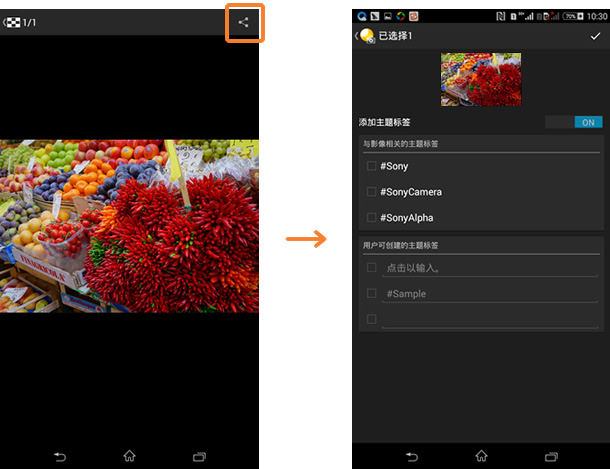 PlayMemories Mobile下載