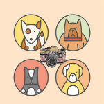 寵物相機(jī) v1.0.2 安卓版 