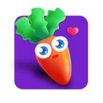 蘿卜兔定時休息護眼精靈最新下載 V3.0.2 綠色版 