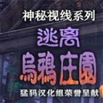 神秘視線8中文版 綠色漢化版 