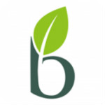 笨土豆下載 v1.3.1.6 安卓版 