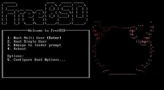 FreeBSD