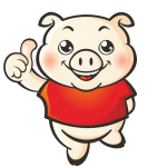 小豬瀏覽器 V2.2.3.4 簡體中文綠色免費(fèi)版 