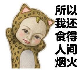 Lets Go Sadayuki表情包