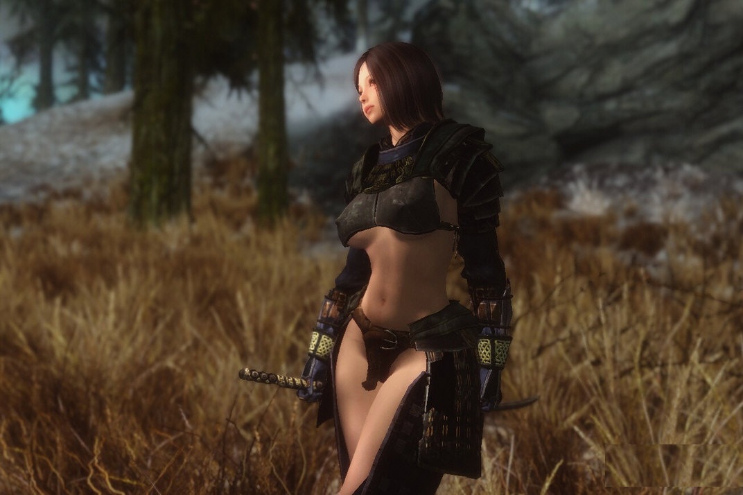 上古卷軸5蕓諾隨從mod