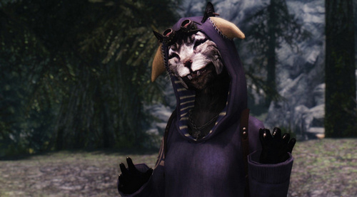 上古卷軸5Vimune喵喵隨從MOD