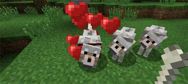 我的世界寵物防誤傷mod下載 