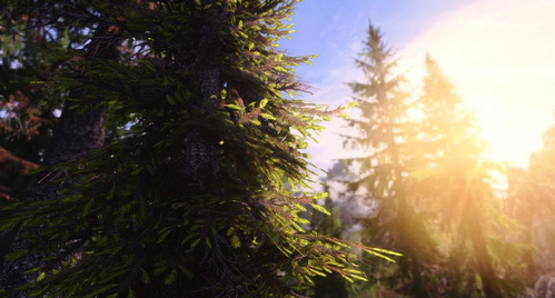 上古卷軸5陽(yáng)光MOD