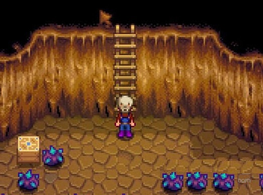 星露谷物語沙漠洞保存層數mod下載