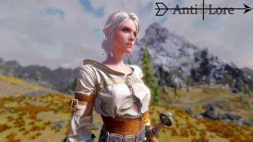 上古卷軸5希里獨(dú)立語音隨從MOD