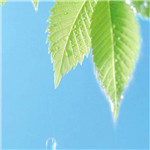 輕輕一點(diǎn)官方下載 4.8 最新版 