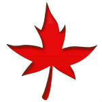 楓林高拍儀驅(qū)動(dòng) v1.0 官方版 